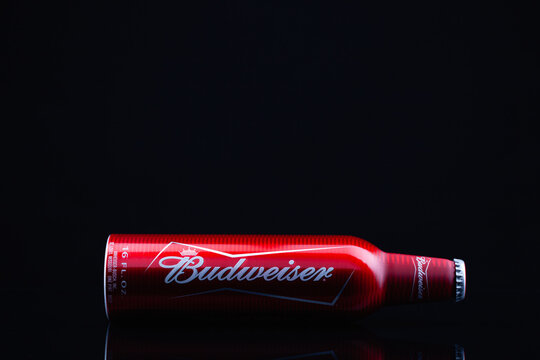 Budweiser brand beer bottle on black studio background.