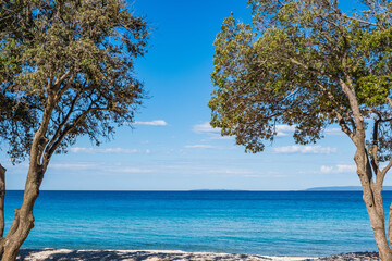 Beautiful beach, view between pine trees, turquoise water of Adriatic Sea on sunny summer day. Croatia, island of Pag.