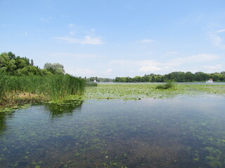 lake in the river