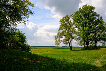 Landschaft am NSG Sulzheimer Gipshügel, Landkreis Schweinfurt, Unterfranken, Bayern, Deutschland