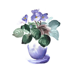 violets in a pot - watercolor sketch of a violet in a little blue pot