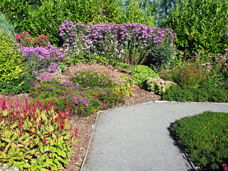 Path through colourful mixed flower borders in a garden in late summer