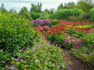 Fototapeta na wymiar Colourful mixed flower beds in a garden in late summer