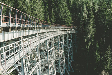 view of a rail viaduct in the forest