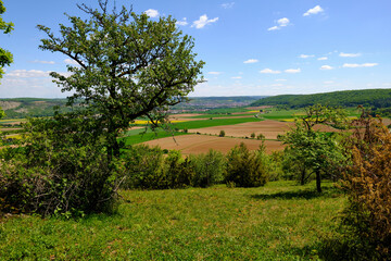 Landschaft im Naturschutzgebiet Mäusberg bei Karlstadt, Landkreis Main-Spessart, Unterfranken,...