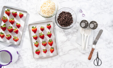 Chocolate dipped strawberries