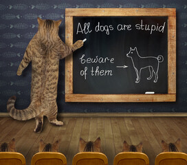 A cat teacher is writing on a blackboard for its students in the classroom. © iridi66