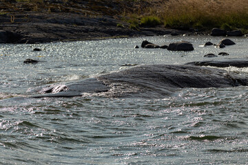 Close up of waves crashing on a rocky shore