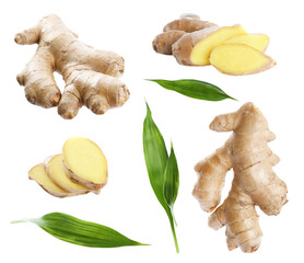 Set of fresh aromatic ginger with green leaves on white background