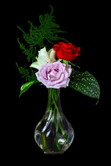 Rose flowers with asparagus and begonia leaves and drops of water in a glass vase isolated on a black background.