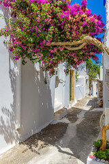 Fototapeta na wymiar Traditional alley with narrow street, whitewashed houses and a blooming bougainvillea in mylopotamos Kythira island, Greece.