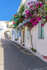 Traditional alley with narrow street, whitewashed houses and a blooming bougainvillea  in chora Kythira  island, Greece.