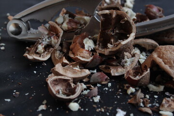 walnut shell