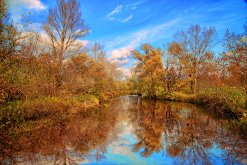 beautiful colorful autumn by the river