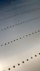 Metal. Aluminum. Sheet metal with rivets. Metal plate with rivets. Metallic surface. Industrial background