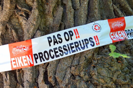 Muiderberg, the Netherland - June 29, 2019:  Dutch attention sign warning for oak processionary.