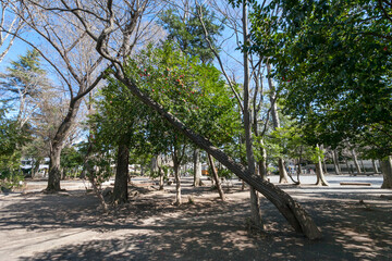 向台公園（東京都西東京市向台町）