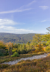 Landscape view over a hilly forest during a sunny autumn day