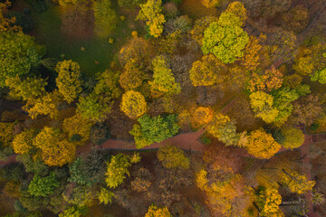 Aerial view on park in autumn from drone