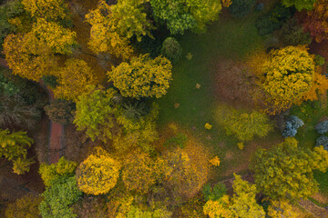 Naklejka na ściany i meble Aerial view on park in autumn from drone
