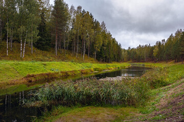 Fototapeta na wymiar Coniferous forest on the shore of the lake in cloudy weather.