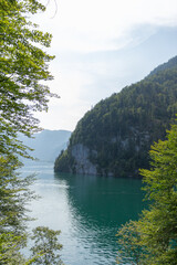Berchtesgaden lake K&ouml;nigssee with trees in foreground and mountains in the background