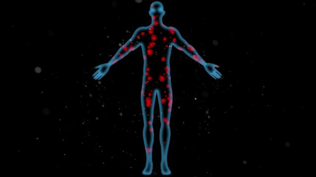 Contagious  Airborne bacteria , germs , viruses floating in air. Corona virus in human body. Male anatomy . 3d animation rendering