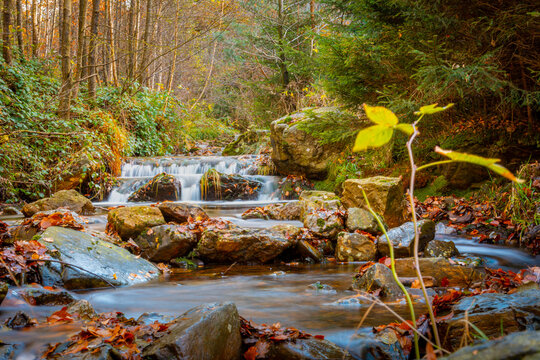 Autumn forest and river scene with waterfall. Long exposure. Seasonal vibes and warm atmosphere.