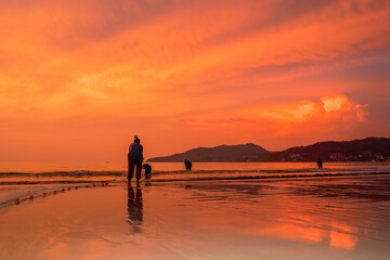 .People come out to trawl their nets on Patong beach during sunset time..