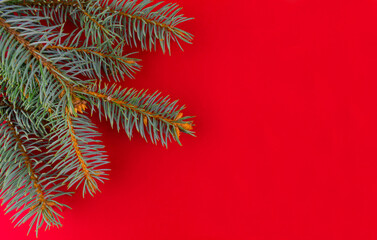 Branches of a Christmas tree on a red background.
Copy space.