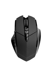 Computer mouse isolated on a white background.