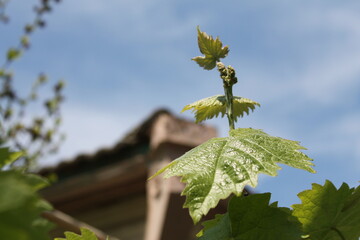 the world through my eyes.