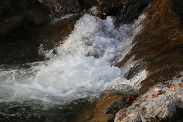Obraz premium Felsen im Wasser in der wilden Natur in Europa