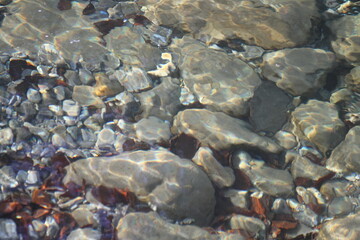 Felsen im Wasser in der wilden Natur in Europa