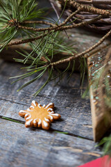 Christmas star shape toy gingerbread with holiday decor
