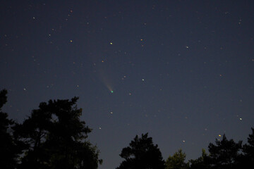 night sky with stars