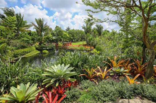 Naples Botanical Gardens, beautifully designed with curves, water elements, colors and vertical landscaping.