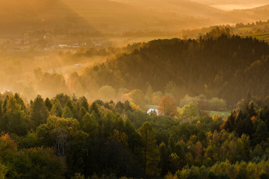 Warm Sunlight at Sunrise in Autumn. Polish Countryside Landscape at Fall Season