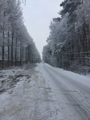 road in the snow