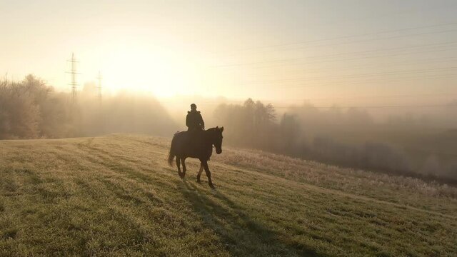 COPY SPACE Female horseback rider is exploring the frosty countryside with her mare. Cinematic shot of an active young woman taking her stunning stallion for a ride on a sunny but misty winter morning