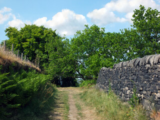 Fototapeta na wymiar a narrow country lane running up a hill surrounded by stone walls and fences with grass and ferns