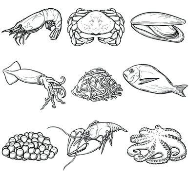 an illustration of seafood. Food that is drawn here: shrimp, mussels, crabs, squid, fish, caviar, crayfish, octopus, laminaria. food elements collection for a design. seamless vector pattern. 