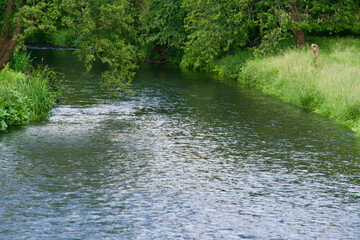 Greened rIver