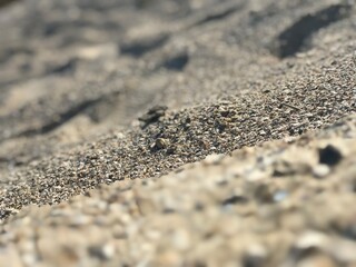 texture of sand