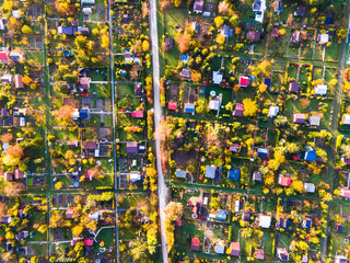 Obraz premium Abstract Pattern of Plot Gardens in Urban Area. Colorful Foliage in Autumn. Top Down Drone View
