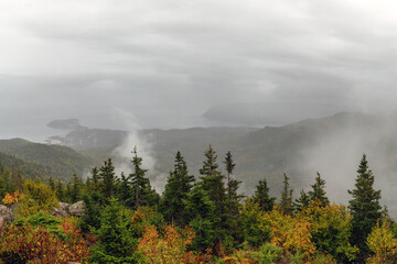 highlands in autumn with fog, Cape Breton, Franey trail