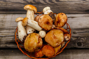 Freshly picked forest mushrooms in basket on rustic wooden table. Top view