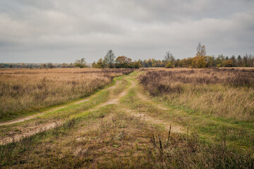 Two country roads in a field are connected into one. Autumn landscape. Belarus.