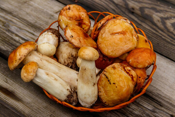 Freshly picked forest mushrooms in basket on rustic wooden table. Top view