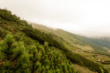 Carpathian mountains in summer fog, the area near Lake Brebeneskul, rain and fog in the mountains.